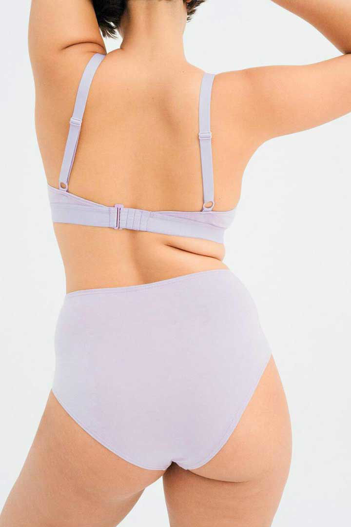 Picture of High Waisted Brief-Lilac