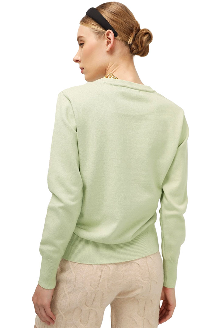 Picture of Charlotte V-Neck Knit Top-Light Green